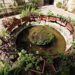 Giardino-Elegance-(8)